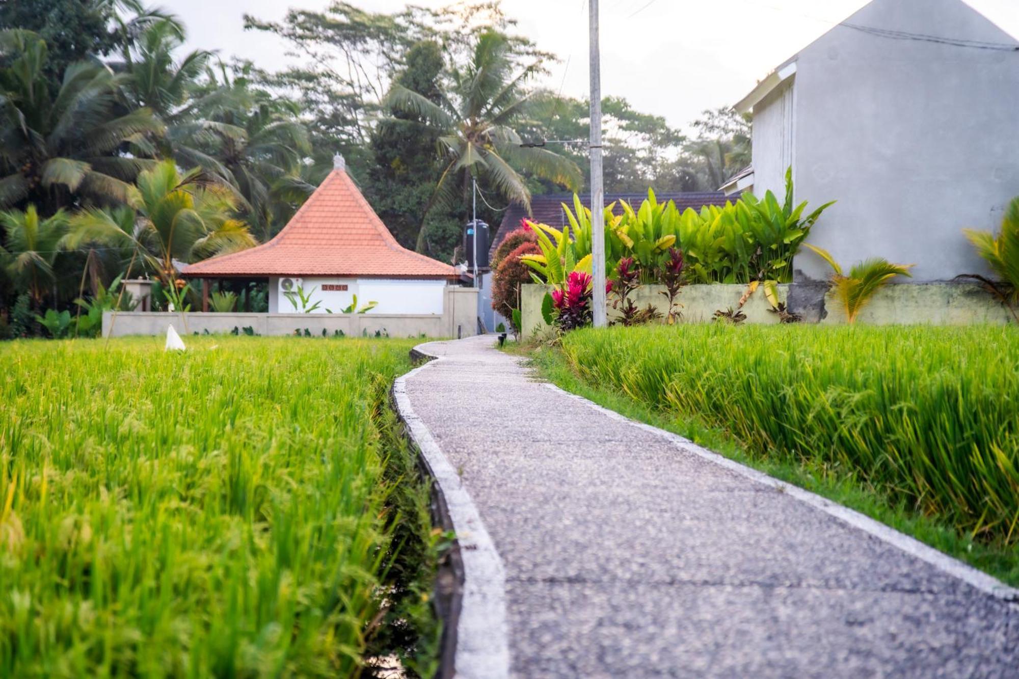 Niniku Ubud Villas Exterior foto